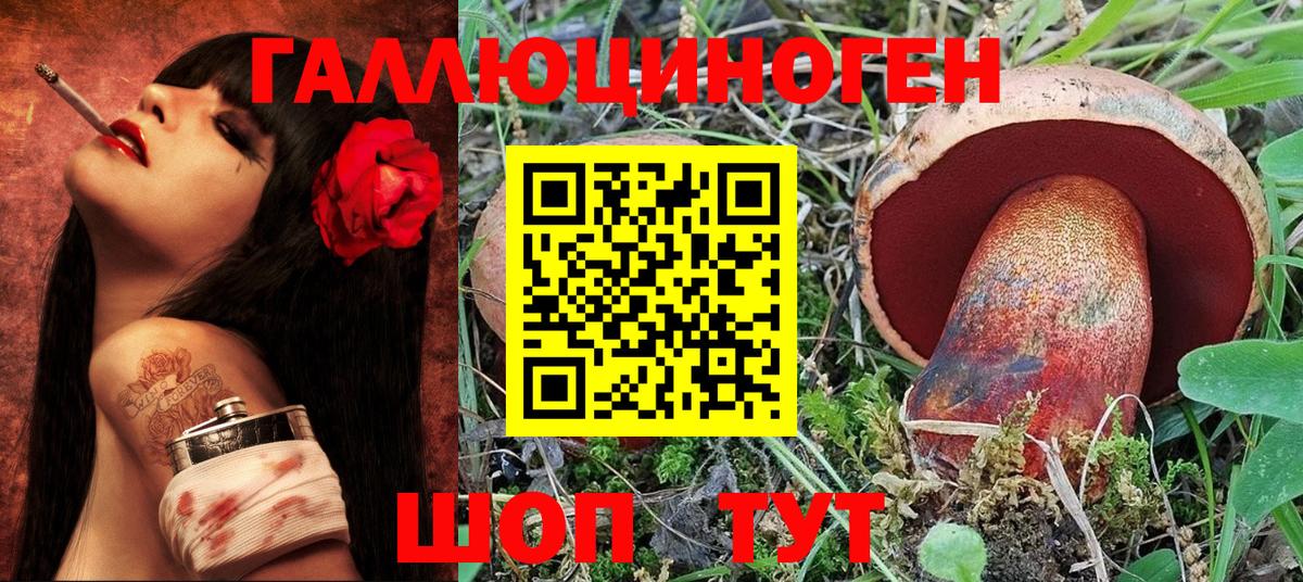 Ликино-Дулёво  Галлюциногенные грибы мухоморы  Вход с VPN 